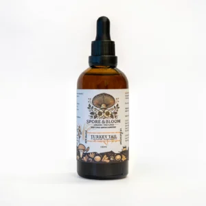 Turkey Tail Extract – Immunity & Gut Support
