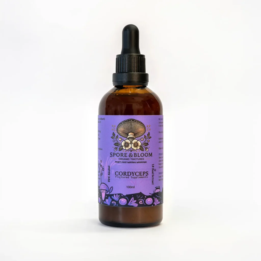 Cordyceps Extract – Energy & Vitality