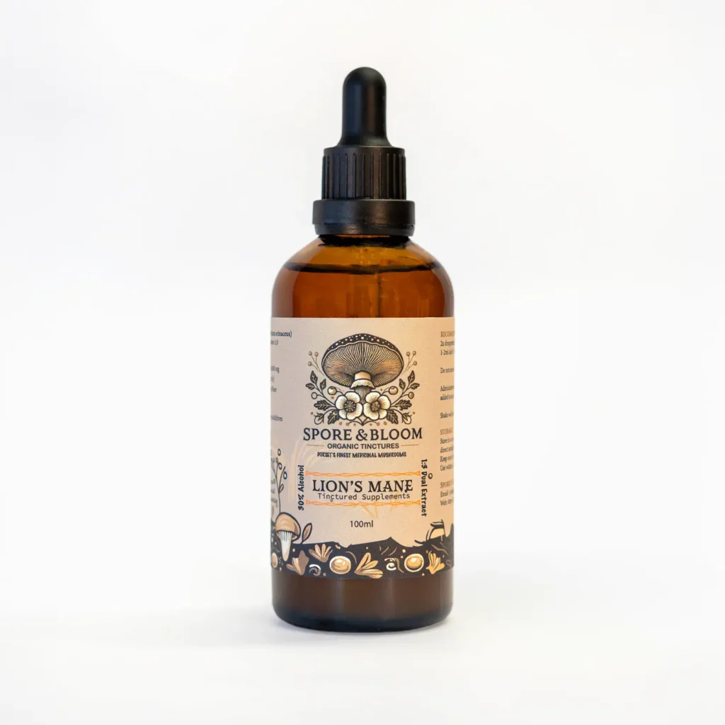 Lion's Mane Extract – Clarity & Focus