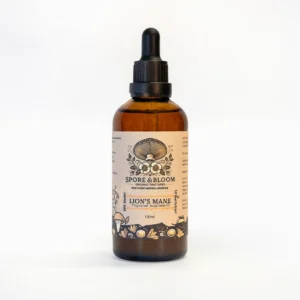 Lion's Mane Extract – Clarity & Focus