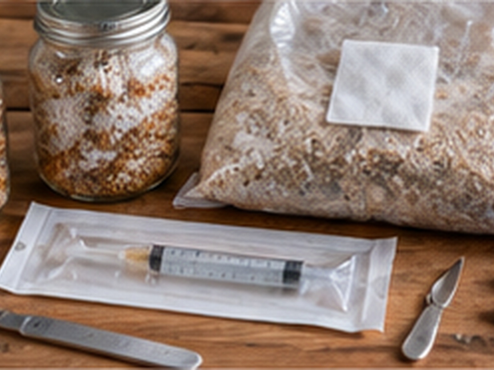 How to Prepare Grain Spawn for Gourmet Mushrooms